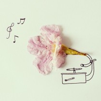Flower gramophone © Cintascotch
